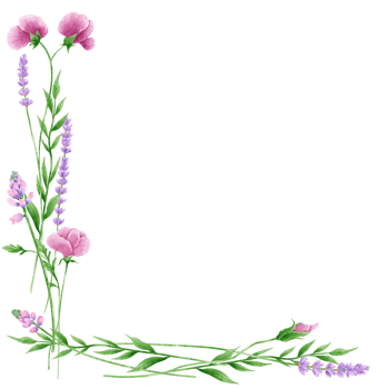 Handdrawn watercolor illustration clipart of detailed Spring Wildflowers meadow frame border collection Floral arrangements greeting cards wedding invitation Elegant ethereal nature png