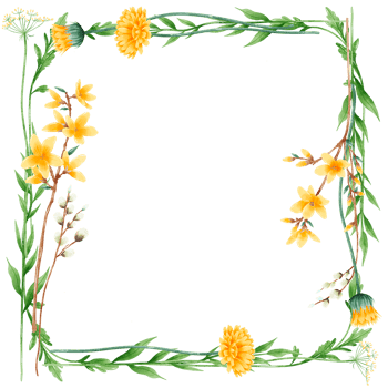 Handdrawn watercolor illustration clipart of detailed Spring Wildflowers meadow frame border collection Floral arrangements greeting cards wedding invitation Elegant ethereal nature png