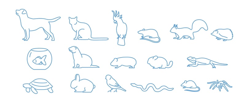 Collection of pet icons drawn with blue contour line on white background. Set of domestic animal linear symbols. illustration. vector