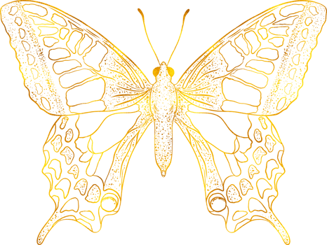 Butterfly with golden effect. png