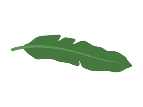 Banana Green Leaf Background Illustration vector