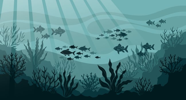 Underwater ocean landscape, algae and reefs, silhouette of a school of fish. Seabed background with ocean flora and fauna, corals, silhouettes of sea animals. vector