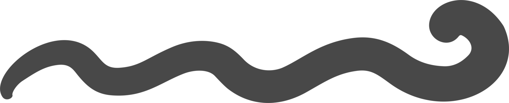 Swoosh line. Hand drawn swash and swish stroke with swirl tail. Calligraphy squiggle wave. Doodle decorative marker flourish. png
