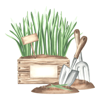 Greenery seedlings in crate with sign, trowel and rake in soil. Gardening tools, supplies and grass. Hand drawn watercolor illustration, isolated composition. Template for card, package, stickers. png
