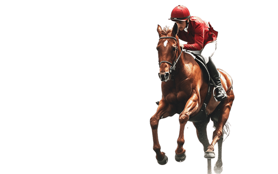 Jockey on Horse on Transparent Background png