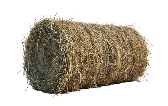 Cylinder Hay on Transparent Background png
