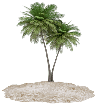 Sandy island and coconut palm tree isolated on background. Piece of round beach with sand for vacation, travel, summer, leisure and enjoy. Summer beach vacation scene concept. 3d rendering png