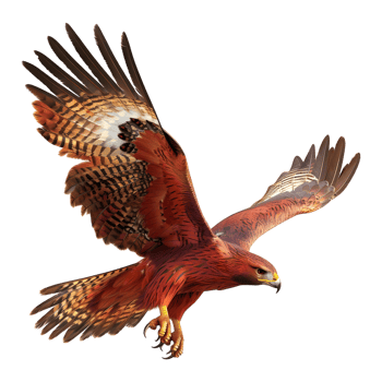3D Rendering of a Red Hawk Bird on Transparent Background png