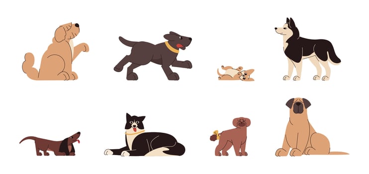 Set of various dog breeds and sizes. Flat cute small puppies and big funny domestic pets. Group of adorable animal characters in different poses. Happy dogs sitting, running and lying. vector