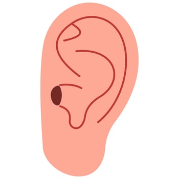 Ear cute on a white background, illustration. vector