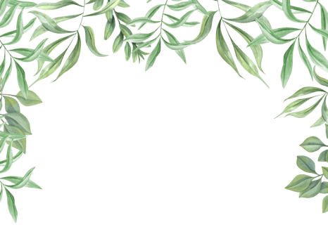 Green tropical leaves. Oleander branches. Horizontal frame with copy space for text. Template with , olive leaf. Watercolor illustration. Greenery design for cards, wedding party invitation png