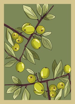 Green Olive branch with olives vector