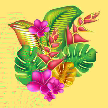 jungle flower,leaves tropic set. isolated elements. Palm leaf, monstera, pink plumeria flower,hibiscus blossom, exotic tropical summer flowers and leaves. vector