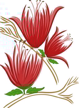 Watercolor painting flower with branch on transparent background. Hand drawn illustration vector