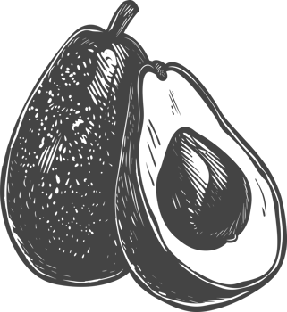 Avocado clipart design illustration png