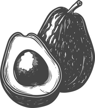 Avocado clipart design illustration png