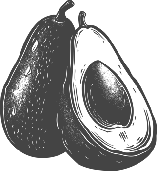 Avocado clipart design illustration png
