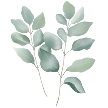 Watercolor isolated eucalyptus branches. png