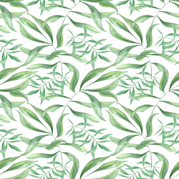 Tropical leaves. Green oleander branches. Seamless pattern of olive leaves. Ivy realistic foliage. Watercolor illustration. Floral greenery design for package, textile png