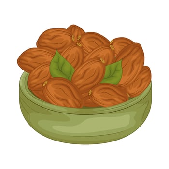 Illustration of kurma vector