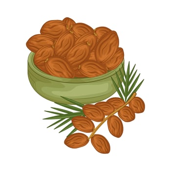 Illustration of kurma vector