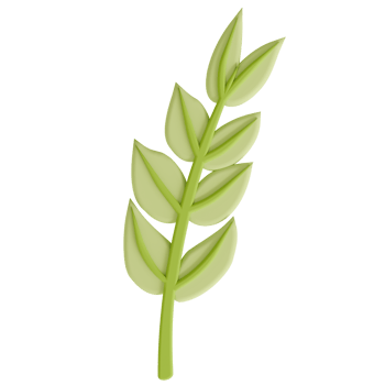 A tree branches and leaves transparent background in a cute decoration foam art style spring floral concept,3D illustration png