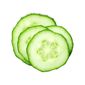 Fresh slice cucumber isolated on transparent background png