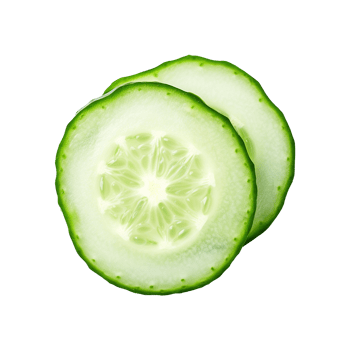 Fresh slice cucumber isolated on transparent background png