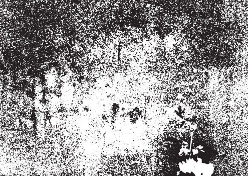 Rustic grunge texture with grain and stains. Abstract noise. graphic illustration with transparent background. png