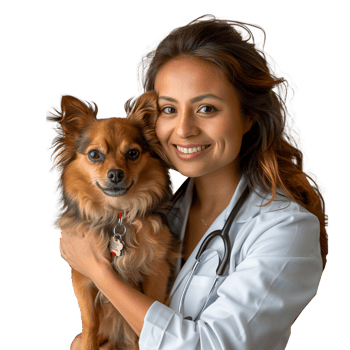 Friendly female veterinarian holding a cute dog png