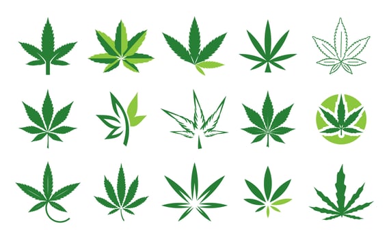 Canabis or cannabis marijuana symbol set collection vector
