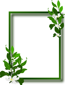 Green frame border, leaves branch clipart illustration png