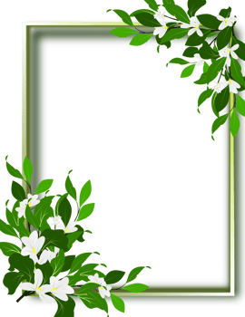 Green frame border, leaves branch clipart illustration png