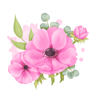 watercolor composition pink anemone flowers, verdant foliage, and eucalyptus leaves, set against a backdrop of dynamic watercolor splashes. for wedding invitations art prints, home decor backgrounds png