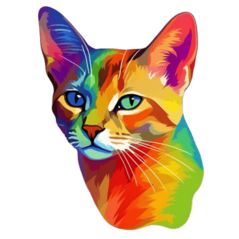 cute colorful cat png