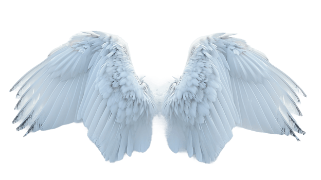 Snow Angel Wings On Transparent Background png
