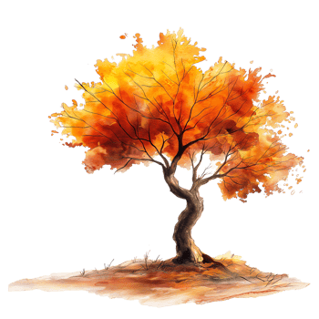 Autumn tree in watercolor style isolated on transparent background. png