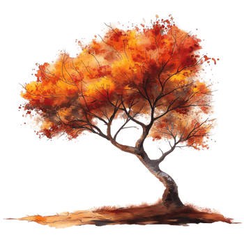 Autumn tree in watercolor style isolated on transparent background. png