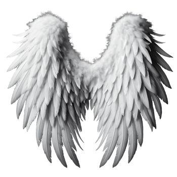 White angel wings. png