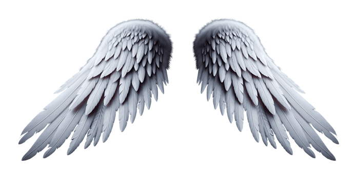 White angel wings. png