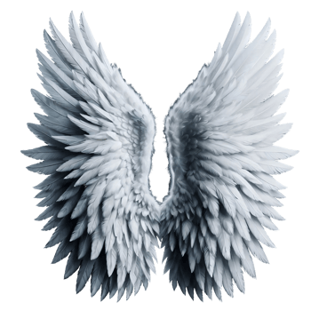 White angel wings. png
