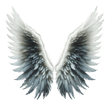 White angel wings. png