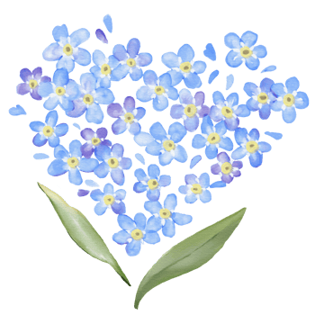 Forget me not Heart Flower Watercolor Isolated png