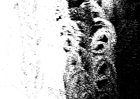 Rustic grunge texture with grain and stains. Abstract noise background. Graphic illustration with transparent background. png
