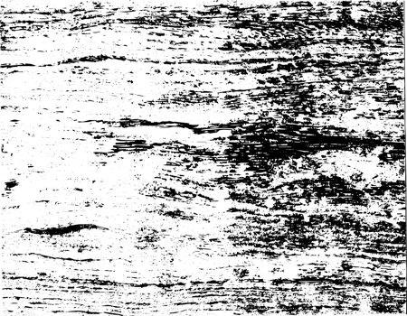 Rustic grunge texture with grain and stains. Abstract noise background. Graphic illustration with transparent background. png
