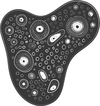 Silhouette amoeba animal black color only vector