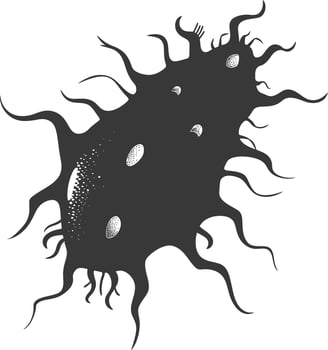 Silhouette amoeba animal black color only vector