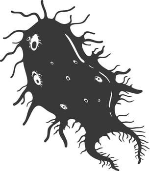 Silhouette amoeba animal black color only vector