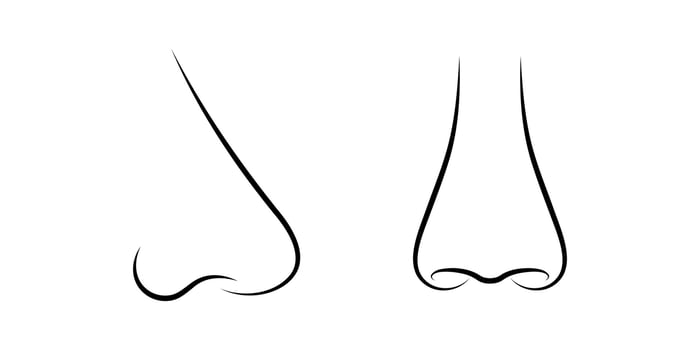 human nose icon set isolated on white background vector