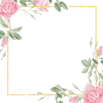 watercolor blooming pink rose flower bouquet wreath frame png